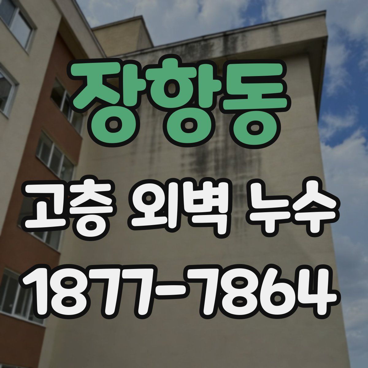 장항동 고층 외벽 누수