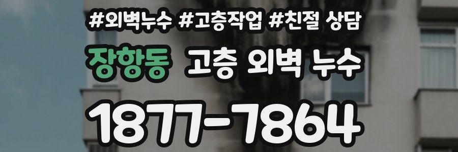 장항동 고층 외벽 누수