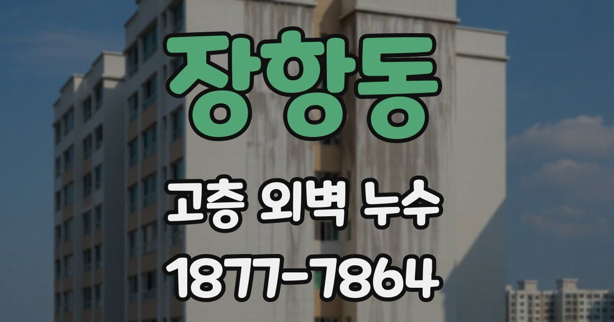 장항동 고층 외벽 누수