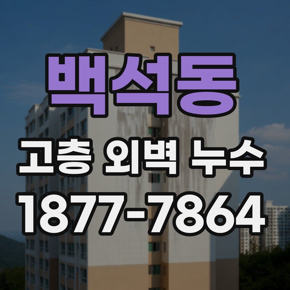 백석동 고층 외벽 누수 원인별 대응 방법 정리
