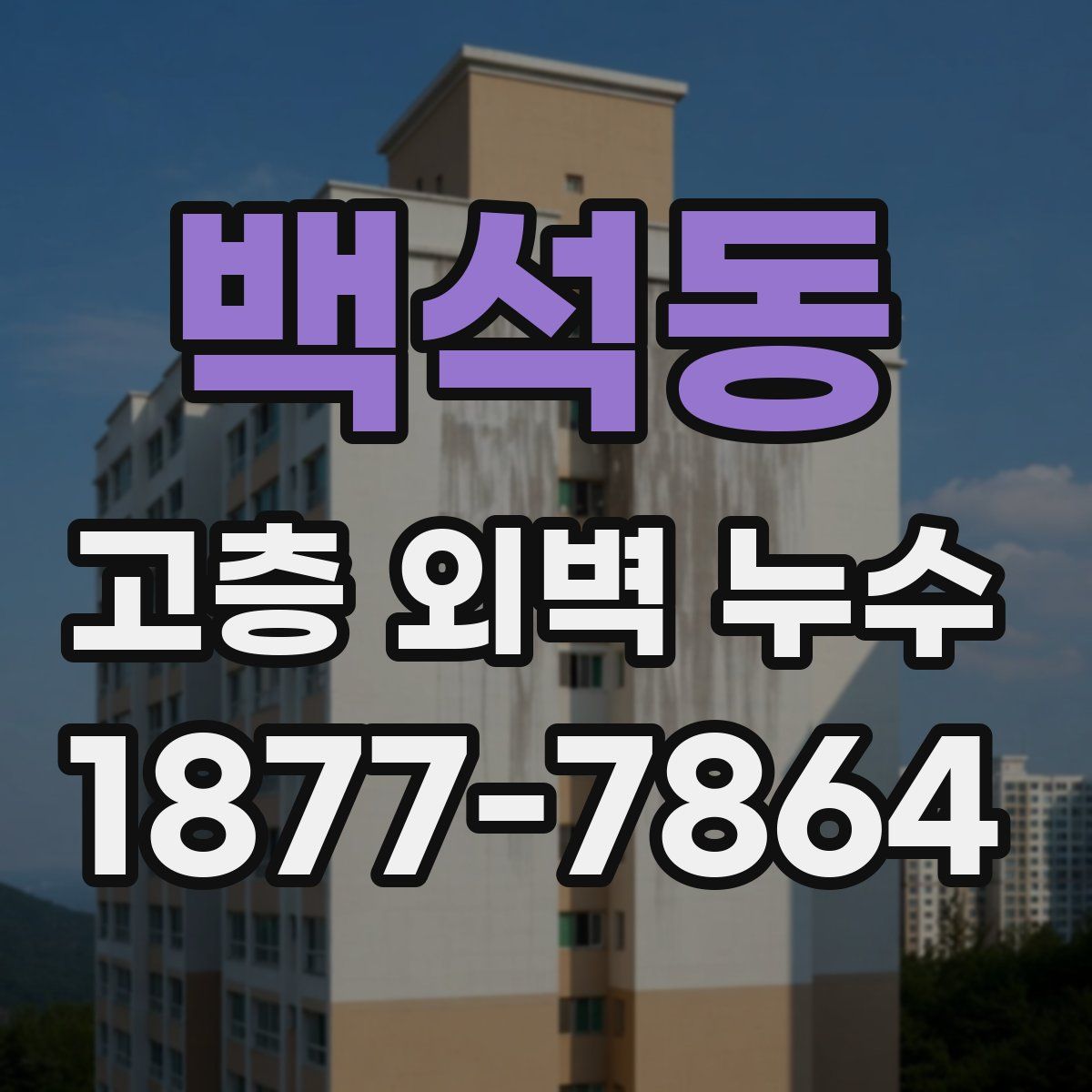 백석동 고층 외벽 누수