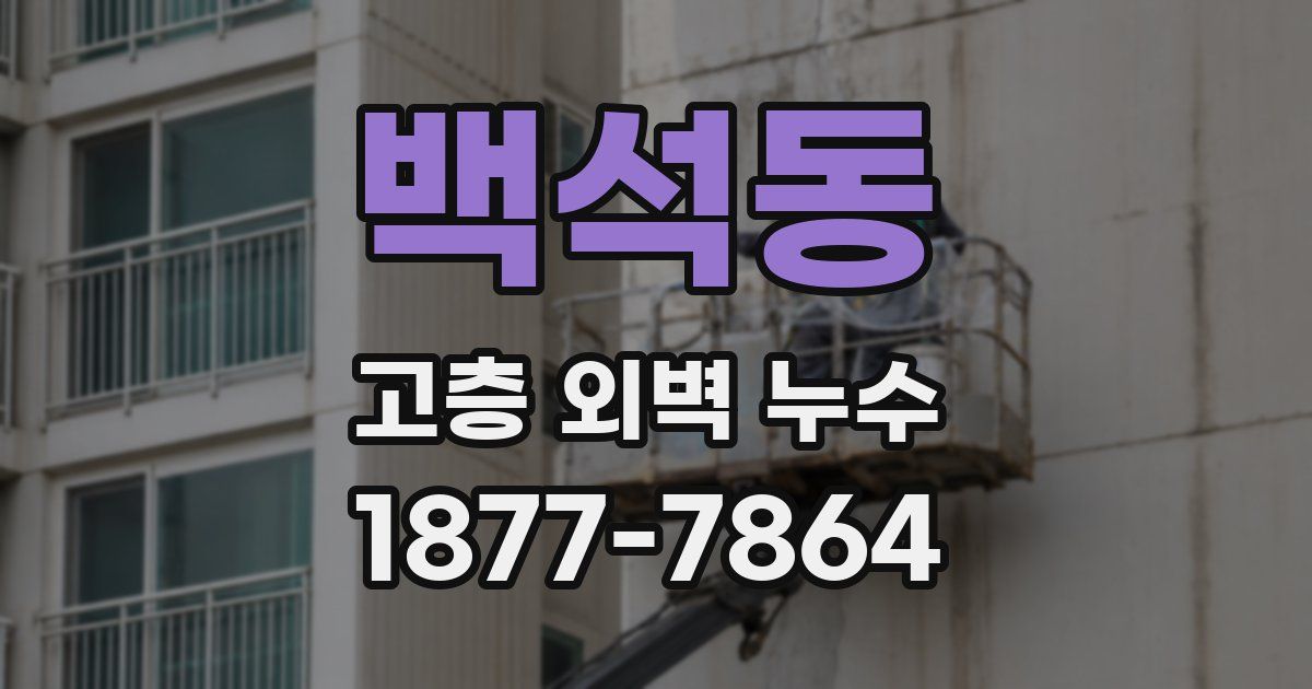 백석동 고층 외벽 누수