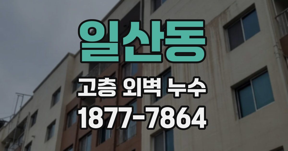 일산동 고층 외벽 누수