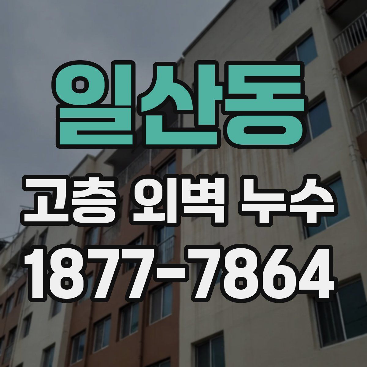 일산동 고층 외벽 누수