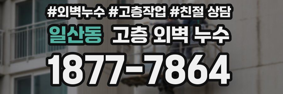 일산동 고층 외벽 누수