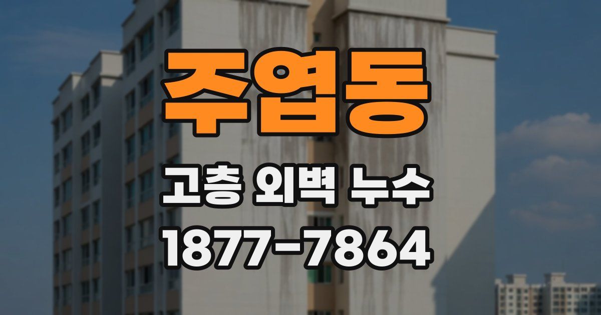 주엽동 고층 외벽 누수