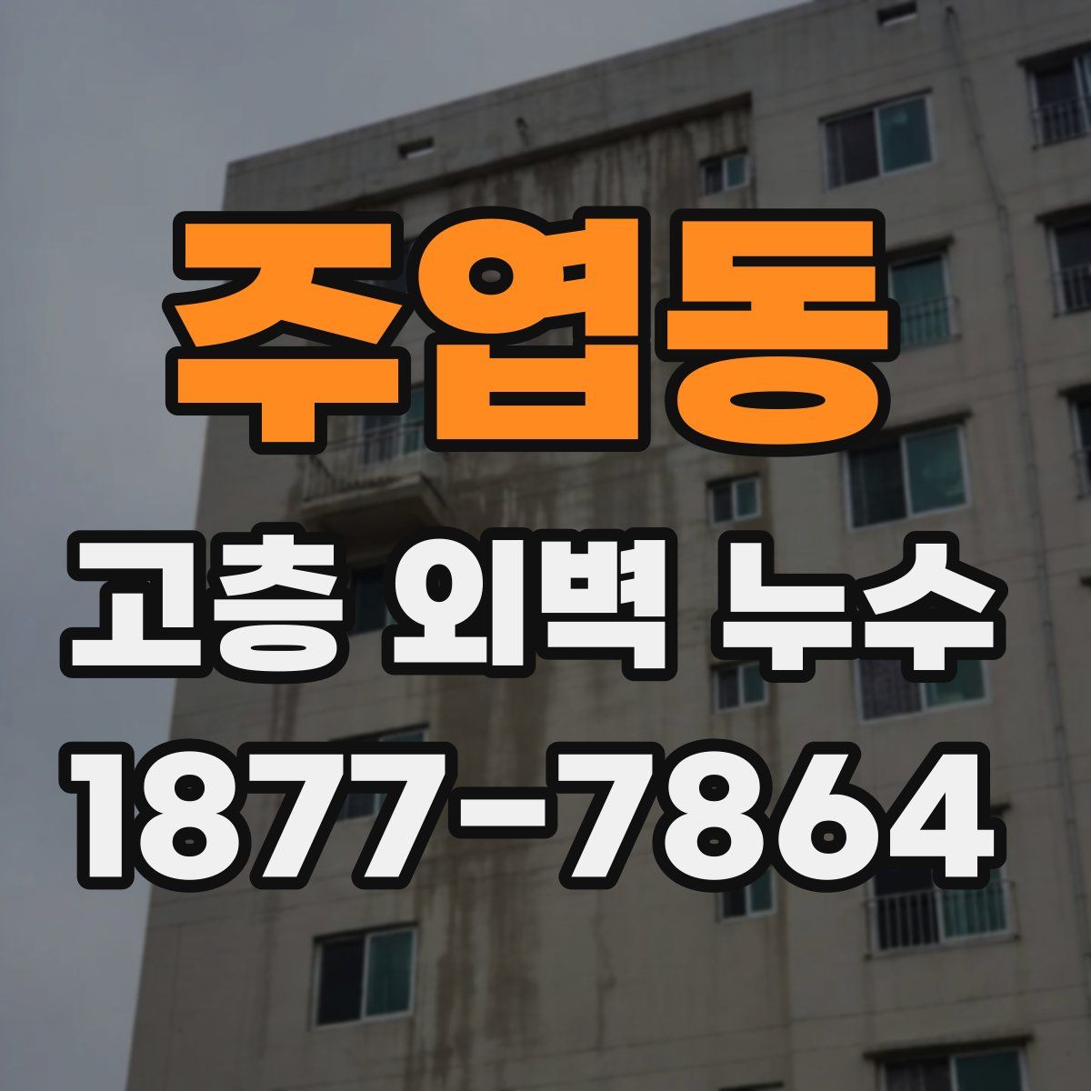 주엽동 고층 외벽 누수