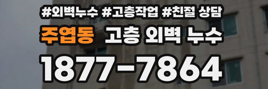주엽동 고층 외벽 누수