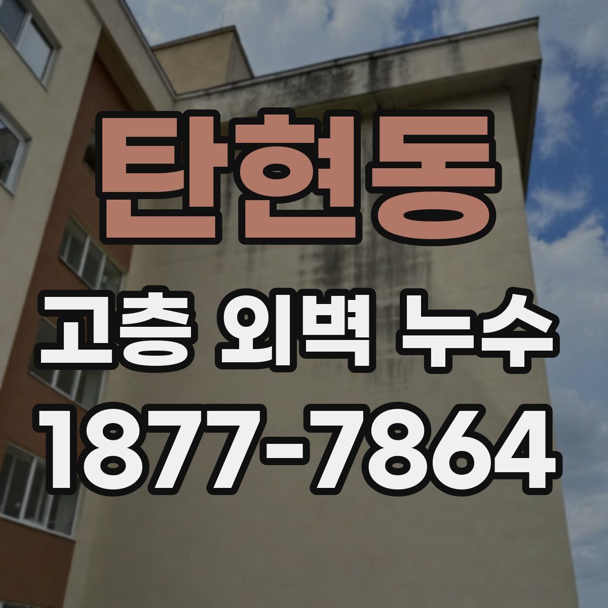 탄현동 고층 외벽 누수