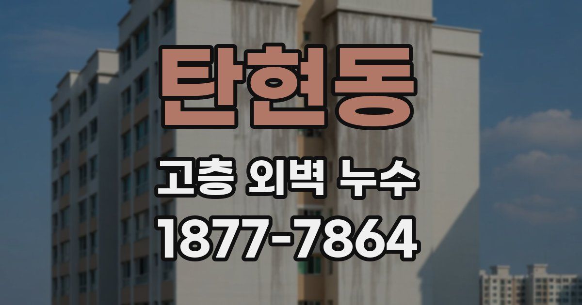 탄현동 고층 외벽 누수