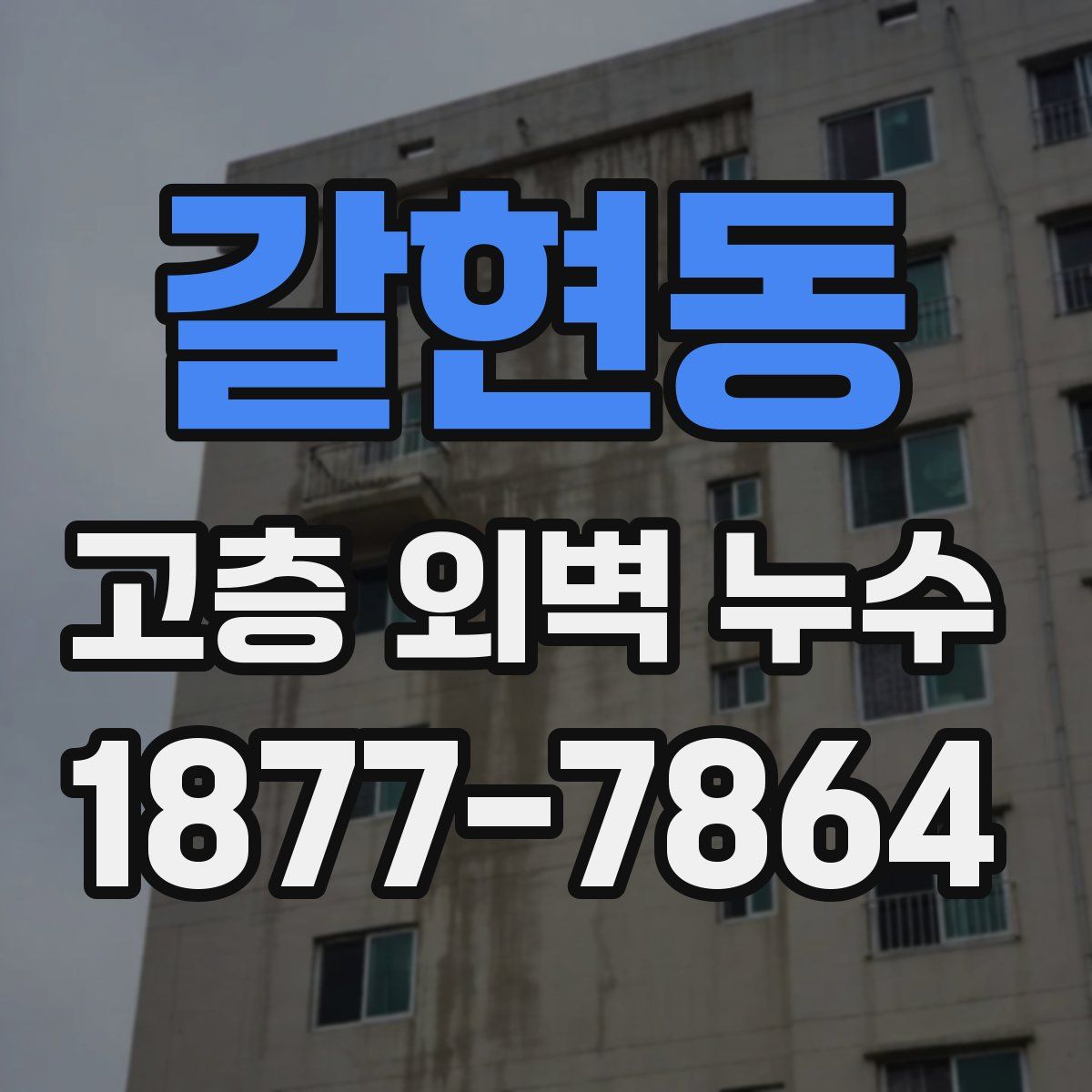 갈현동 고층 외벽 누수