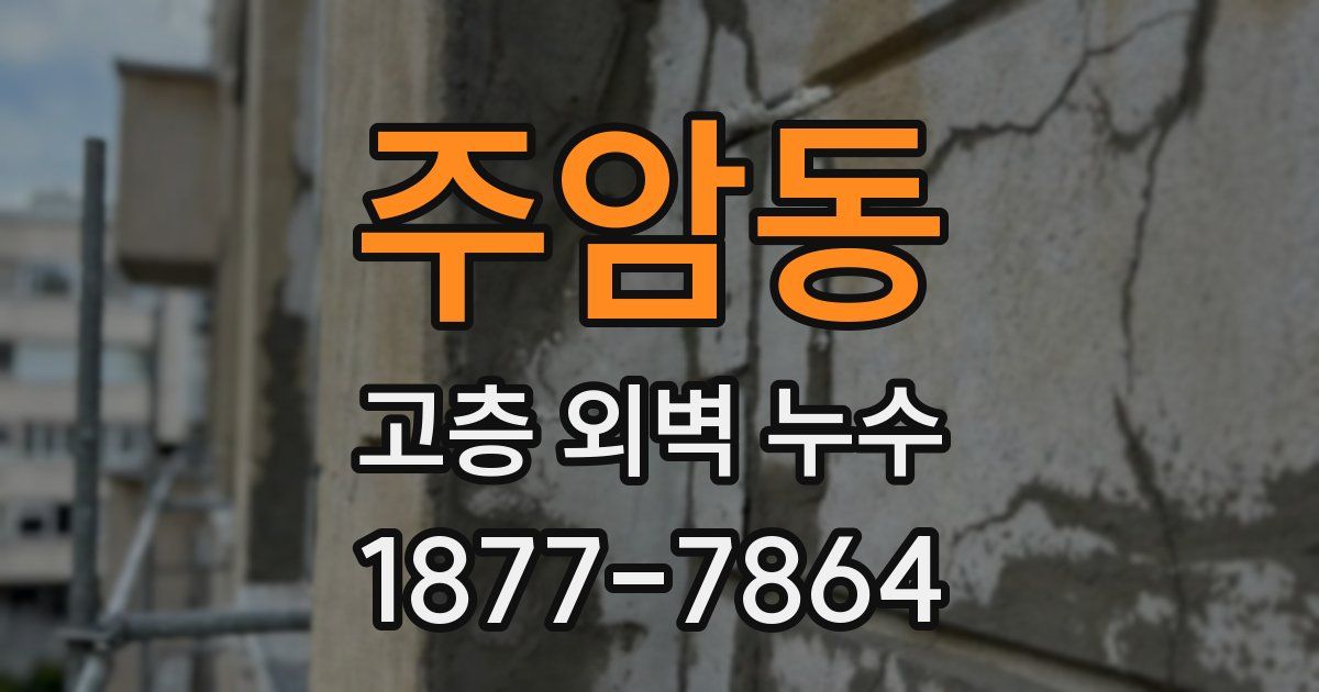 주암동 고층 외벽 누수