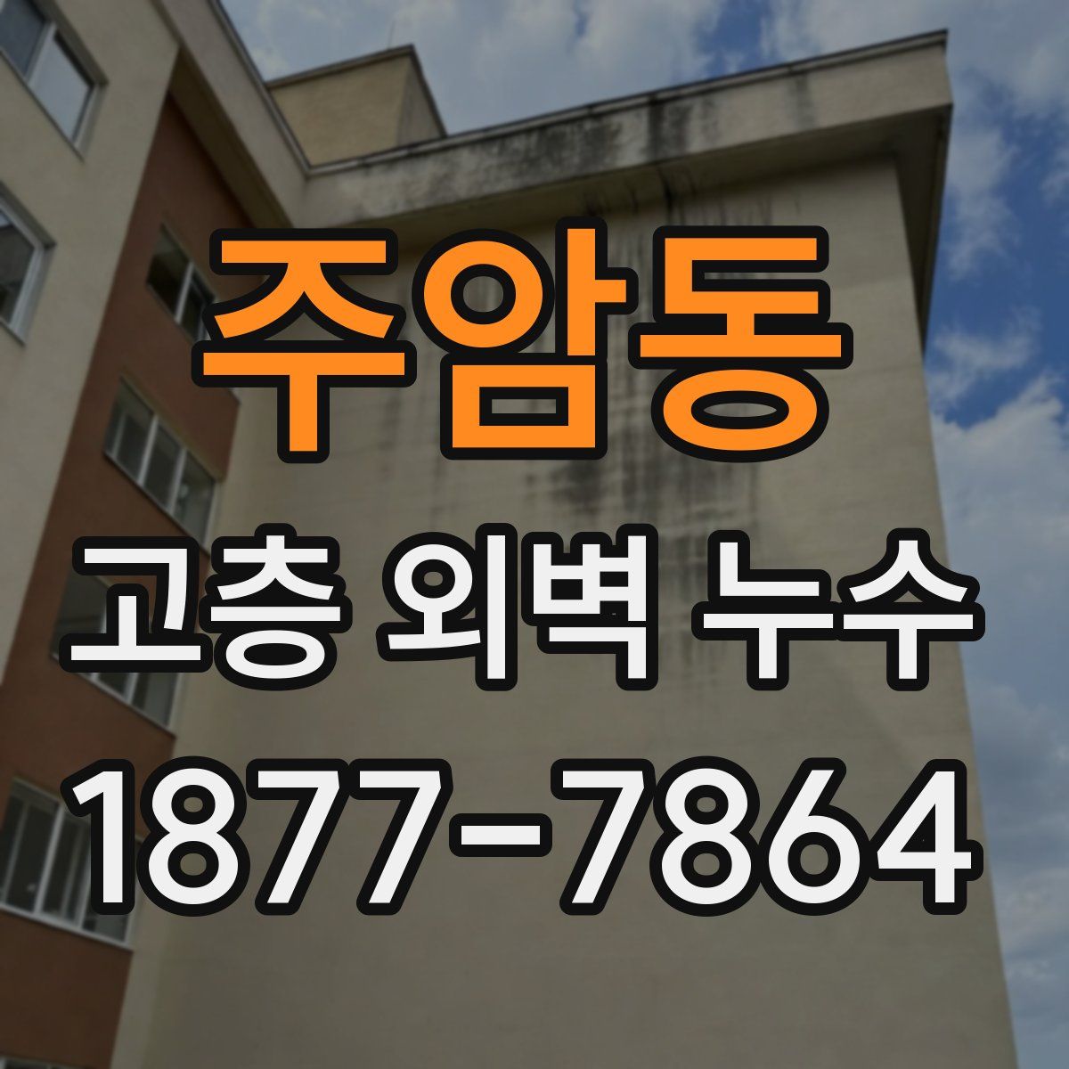 주암동 고층 외벽 누수