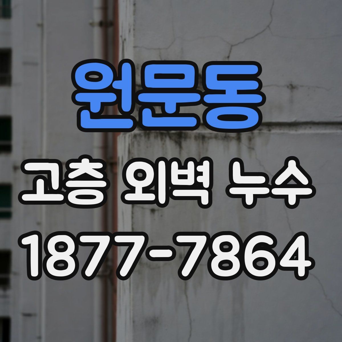 원문동 고층 외벽 누수 점검 결과를 바탕으로 한 보수 계획