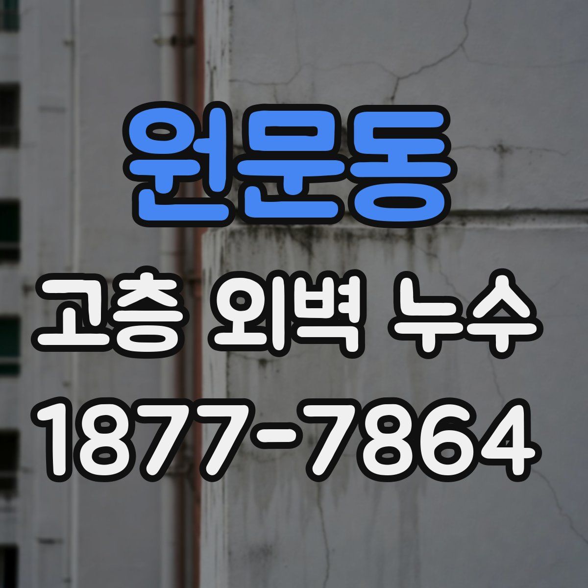 원문동 고층 외벽 누수