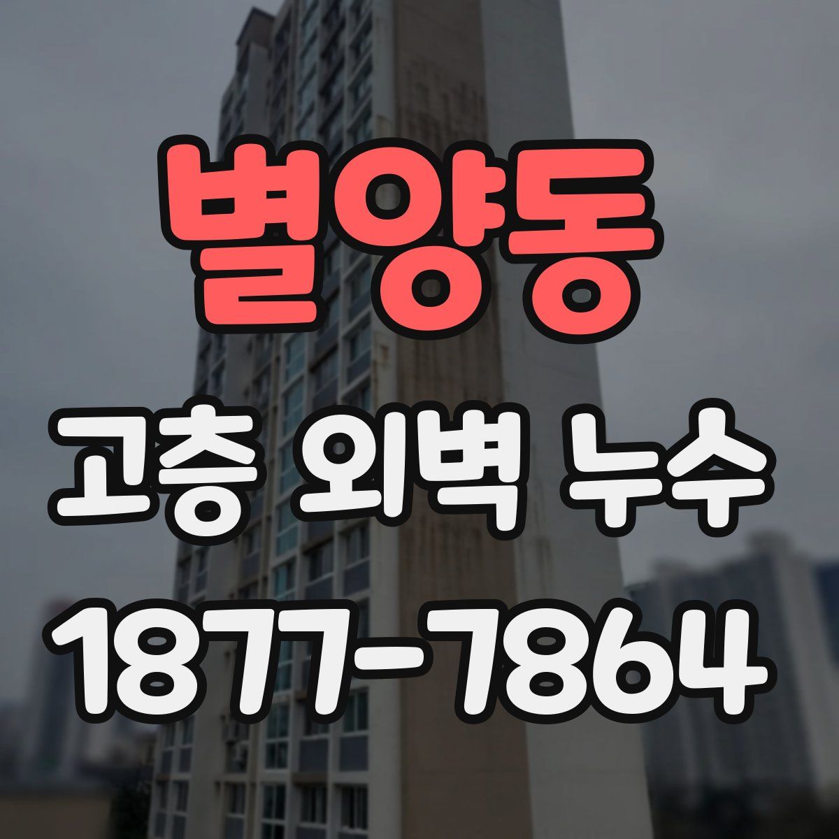 별양동 고층 외벽 누수