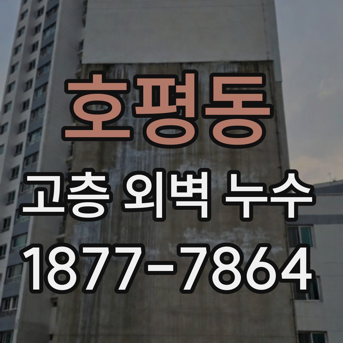 호평동 고층 외벽 누수