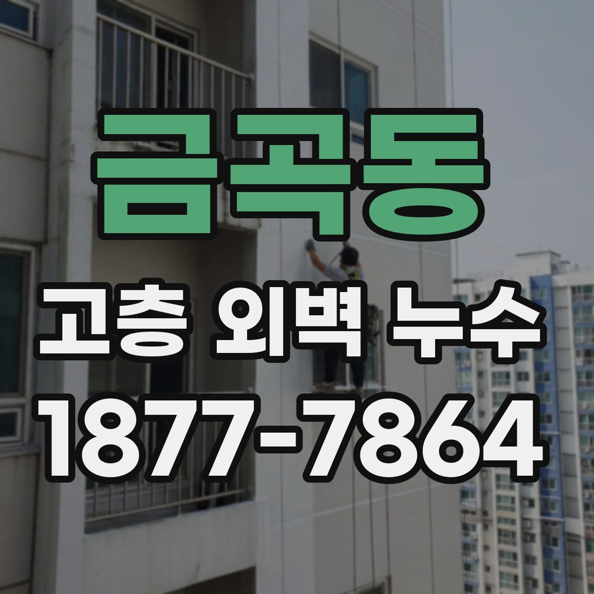 금곡동 고층 외벽 누수