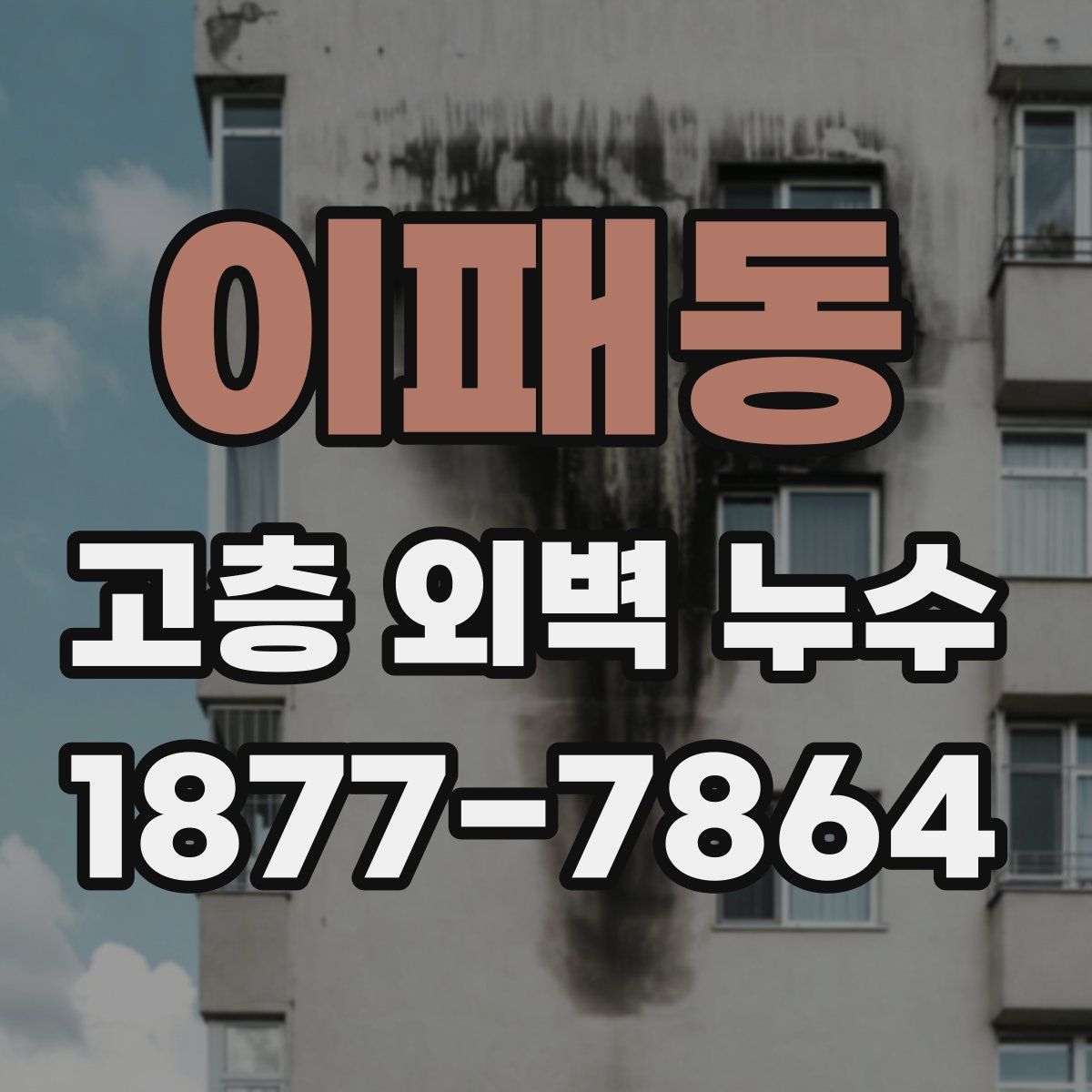 이패동 고층 외벽 누수