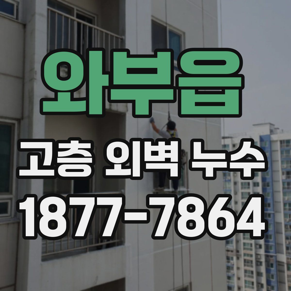와부읍 고층 외벽 누수