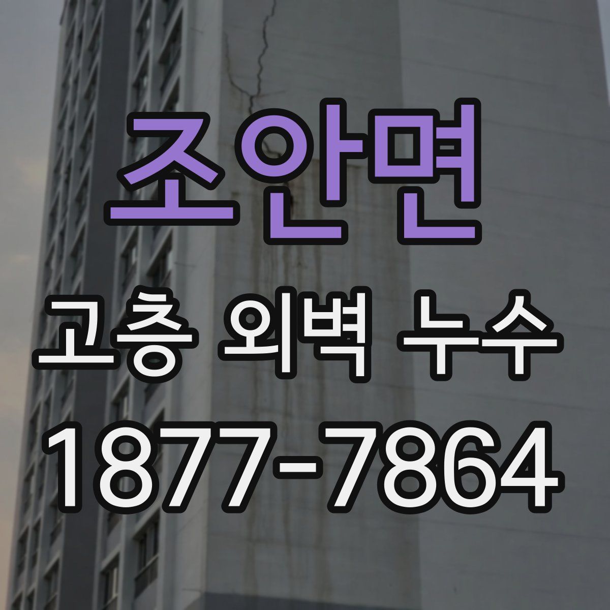 조안면 고층 외벽 누수
