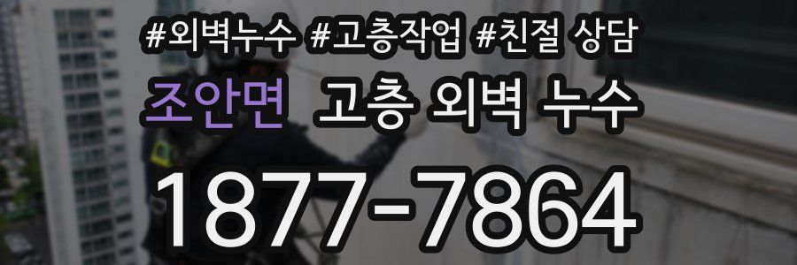 조안면 고층 외벽 누수