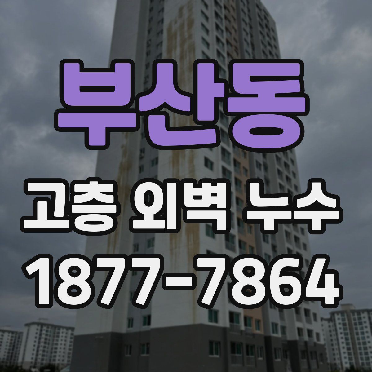 부산동 고층 외벽 누수