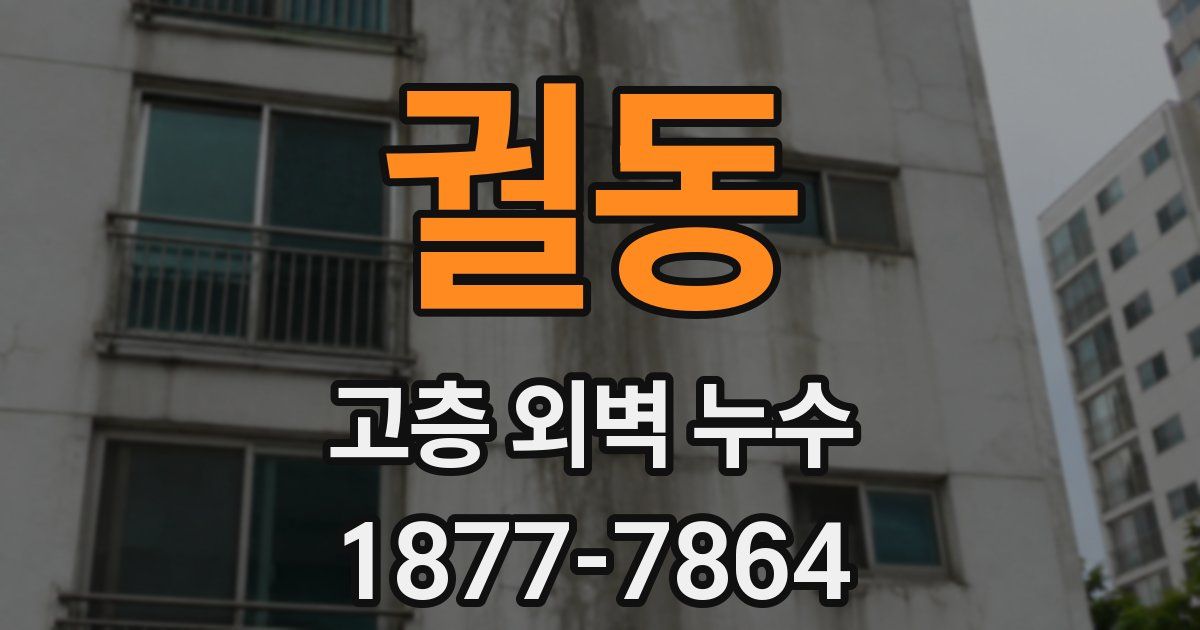 궐동 고층 외벽 누수
