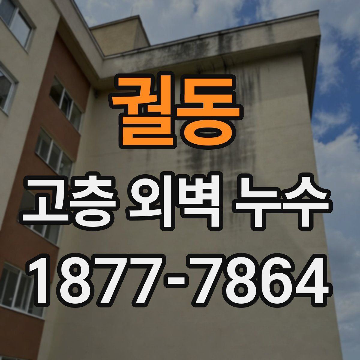 궐동 고층 외벽 누수