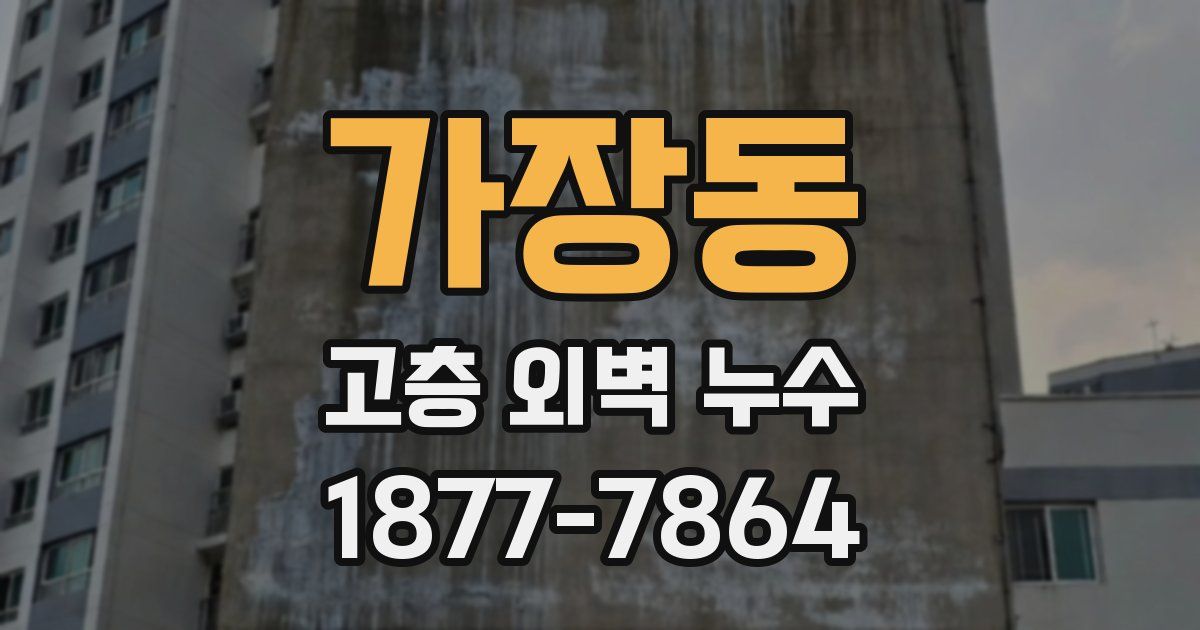 가장동 고층 외벽 누수