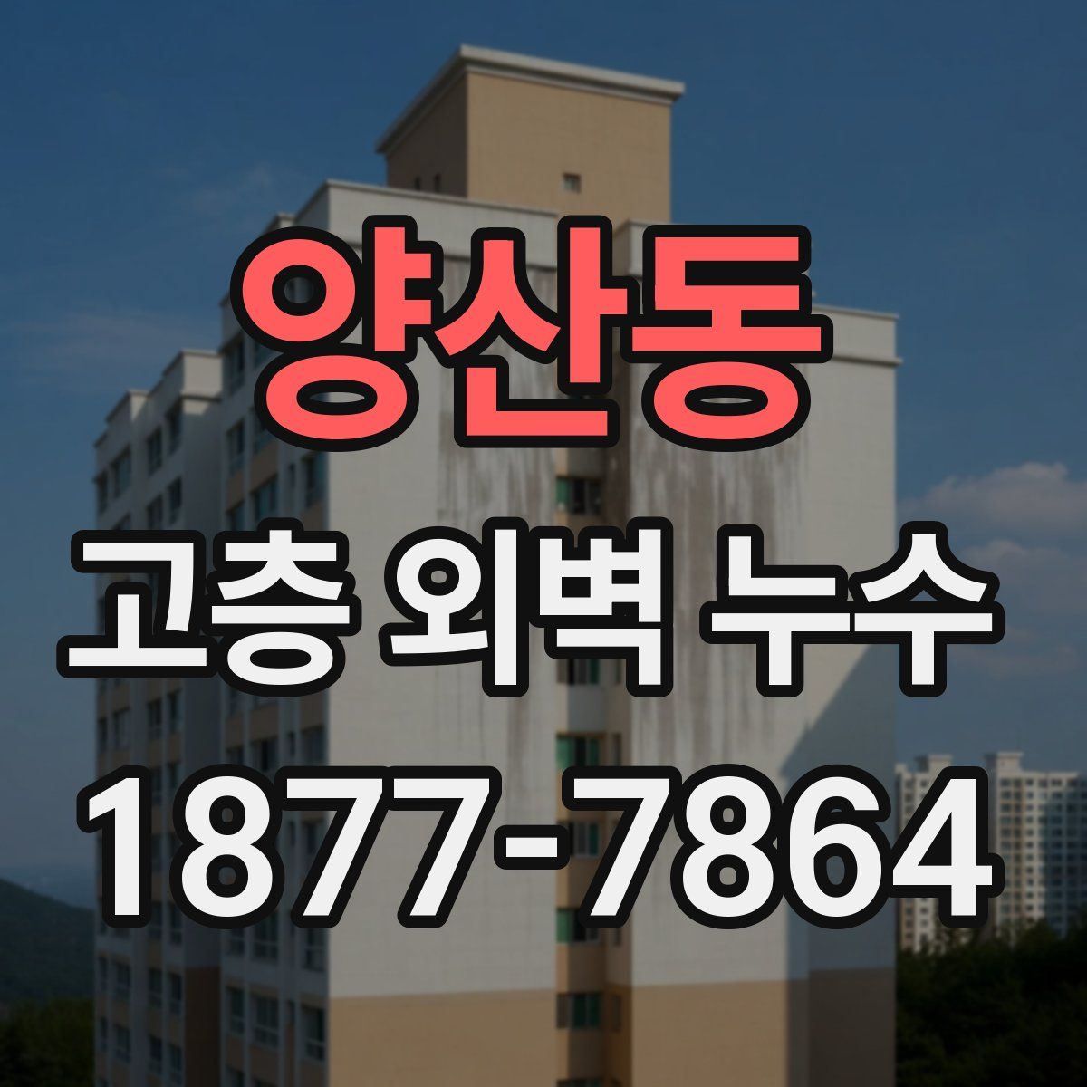 양산동 고층 외벽 누수