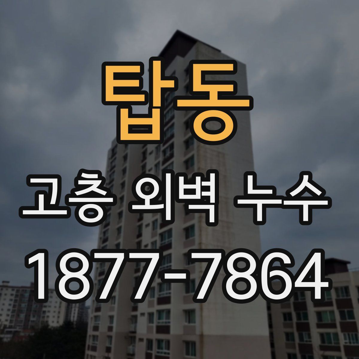 탑동 고층 외벽 누수