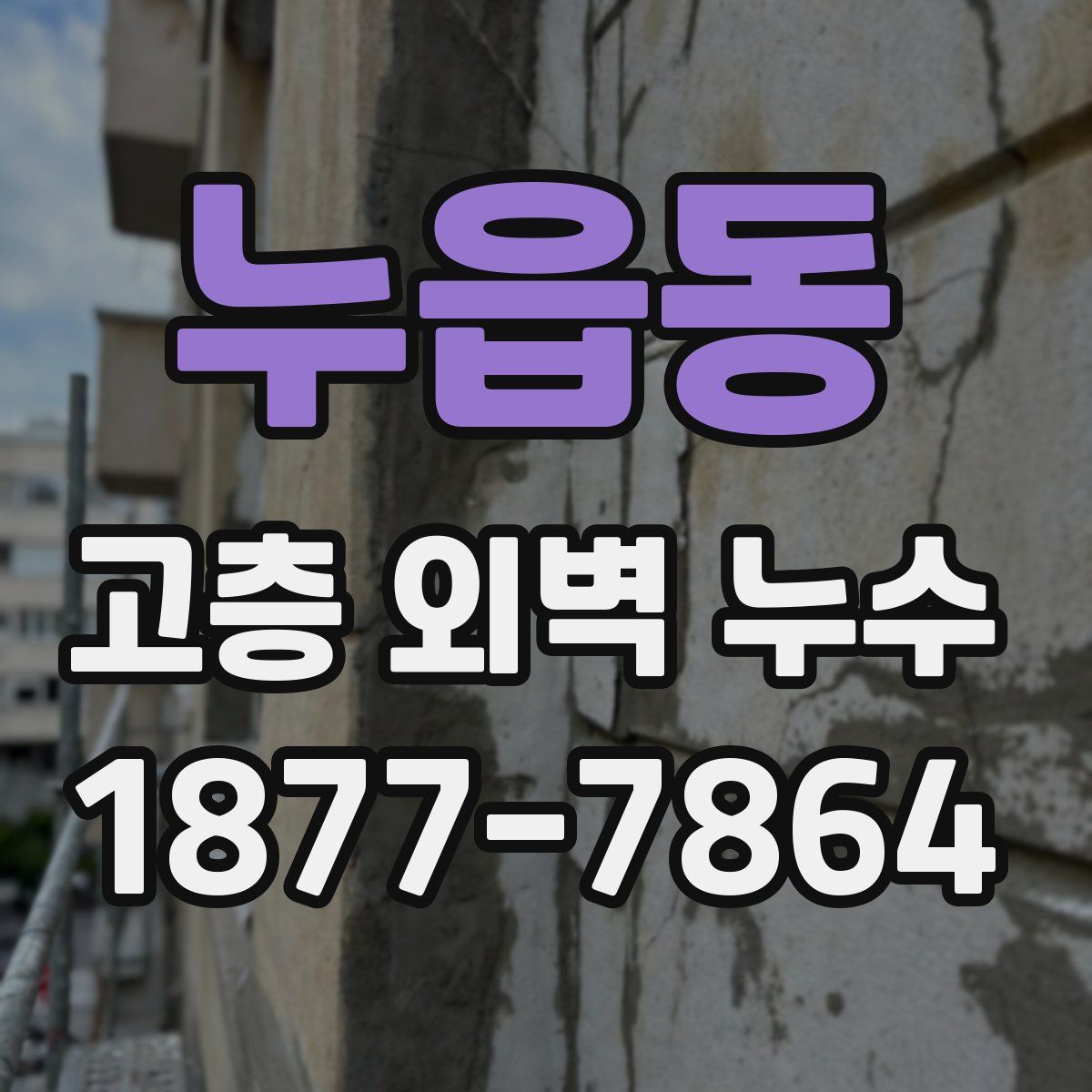 누읍동 고층 외벽 누수