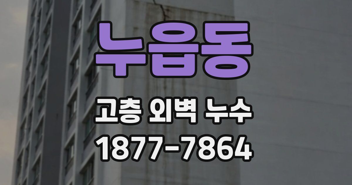 누읍동 고층 외벽 누수
