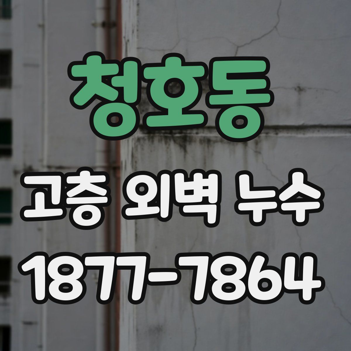 청호동 고층 외벽 누수