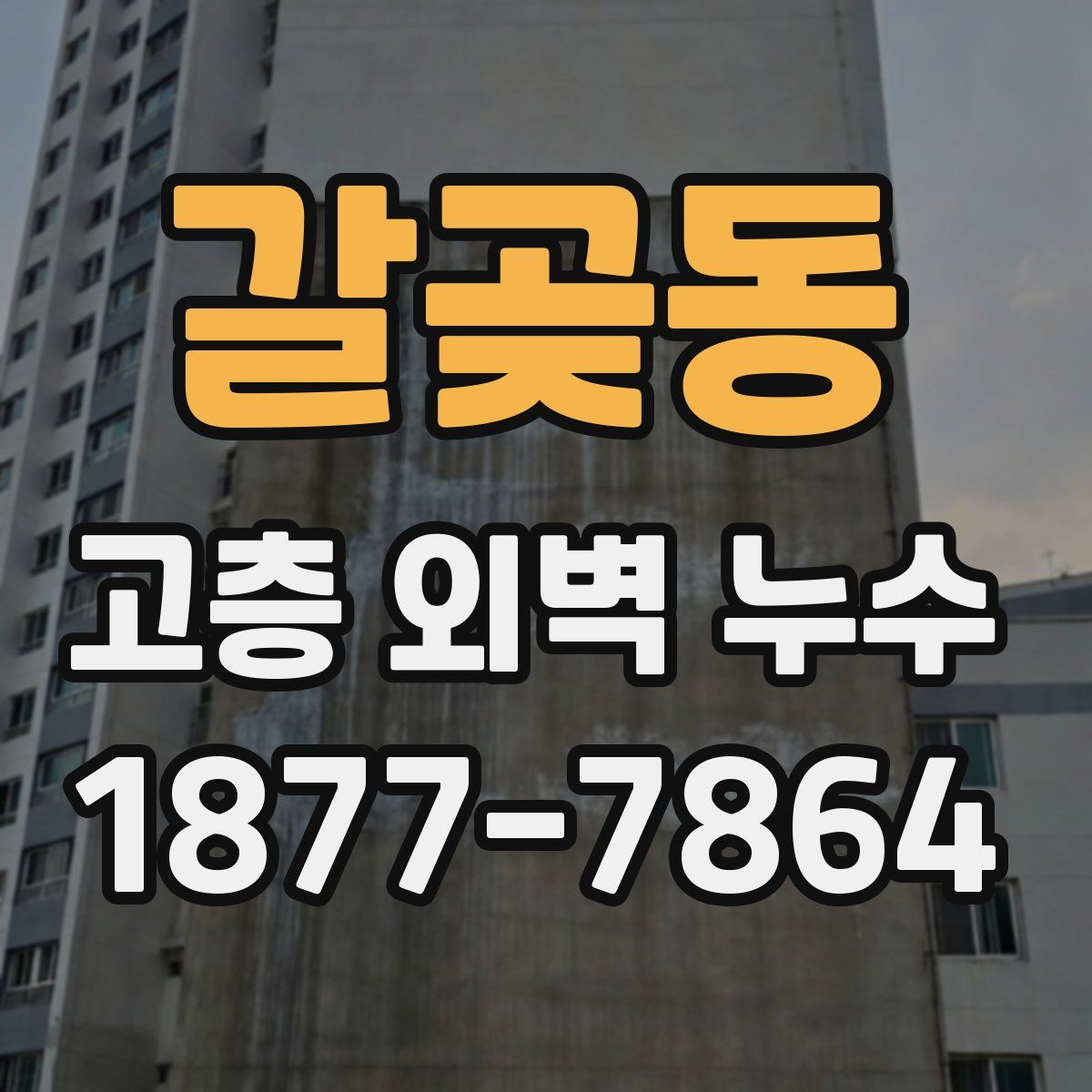 갈곶동 고층 외벽 누수