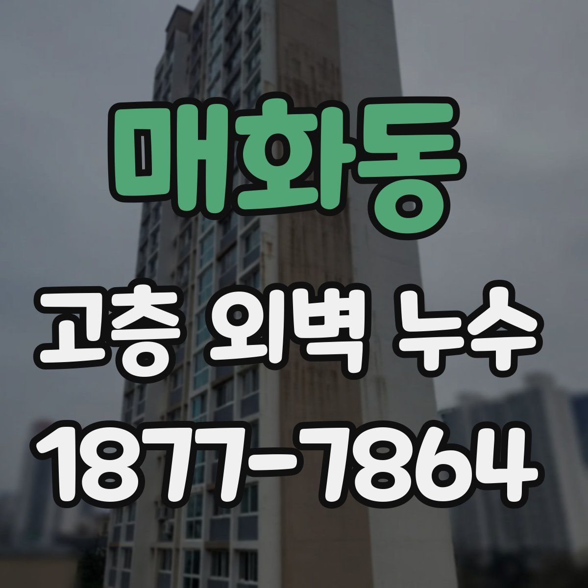 매화동 고층 외벽 누수