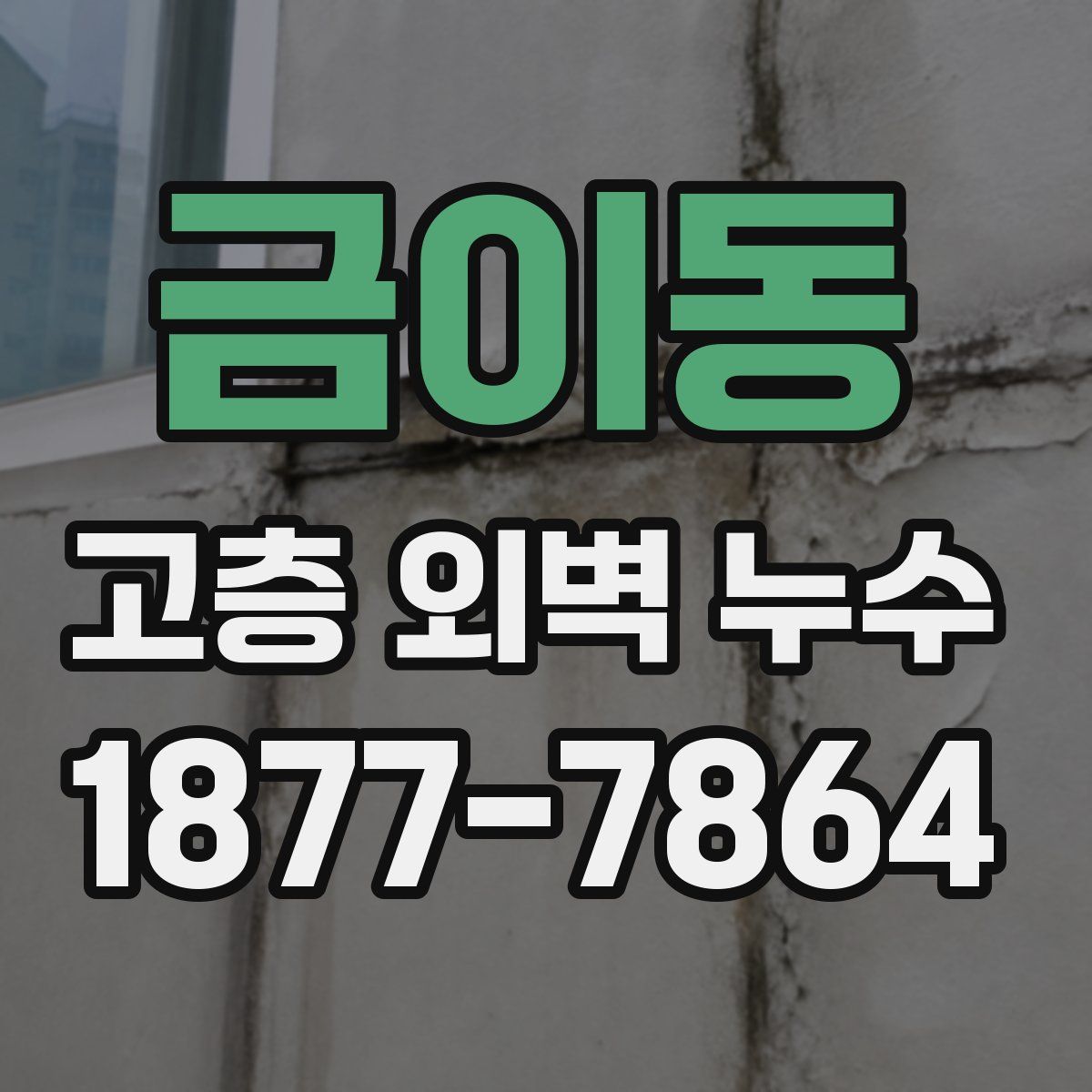 금이동 고층 외벽 누수