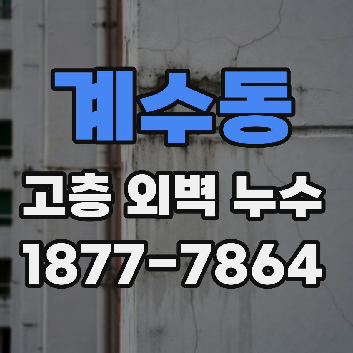계수동 고층 외벽 누수