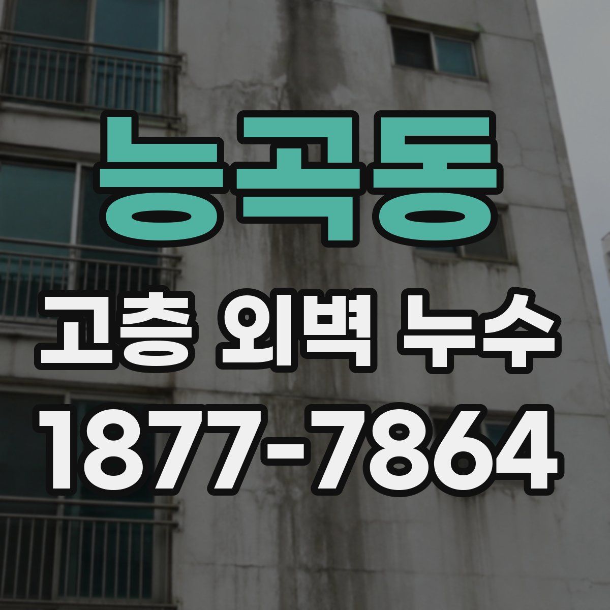 능곡동 고층 외벽 누수