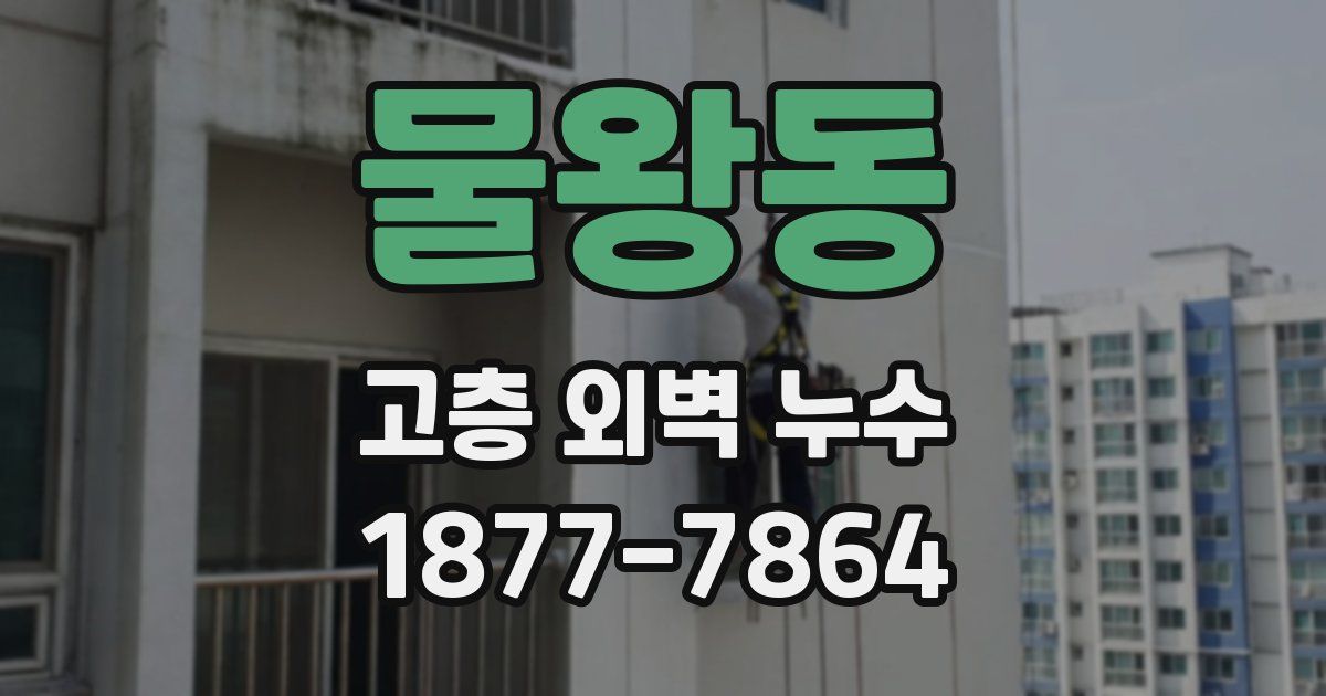 물왕동 고층 외벽 누수