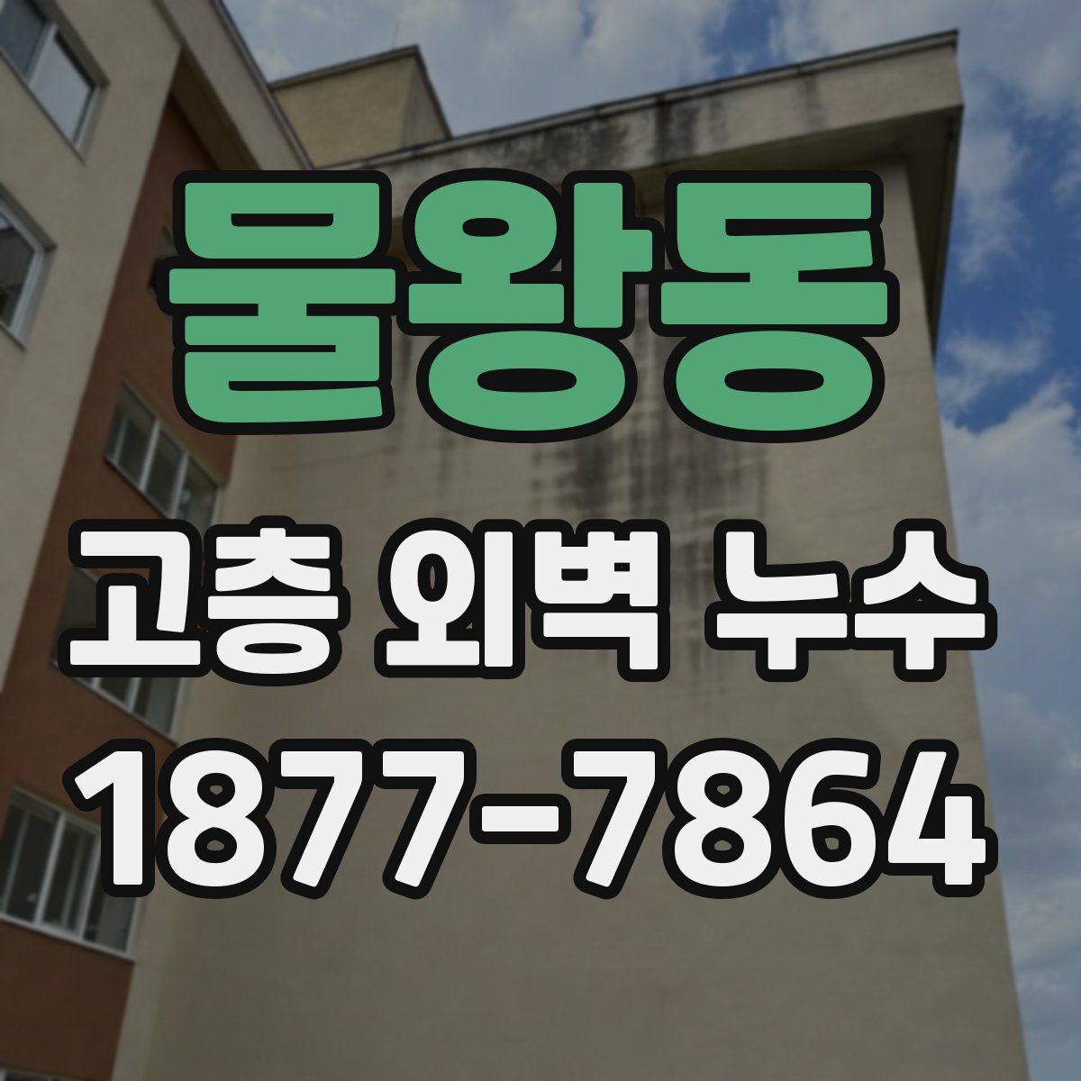 물왕동 고층 외벽 누수