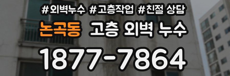 논곡동 고층 외벽 누수