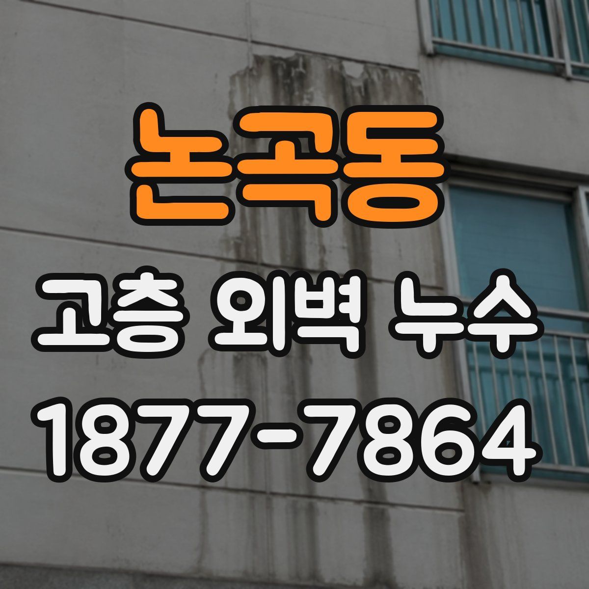 논곡동 고층 외벽 누수