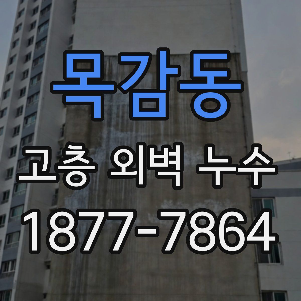 목감동 고층 외벽 누수