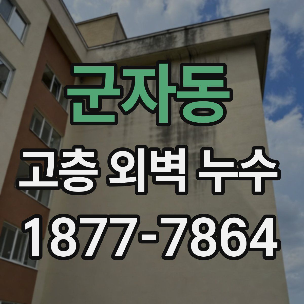 군자동 고층 외벽 누수