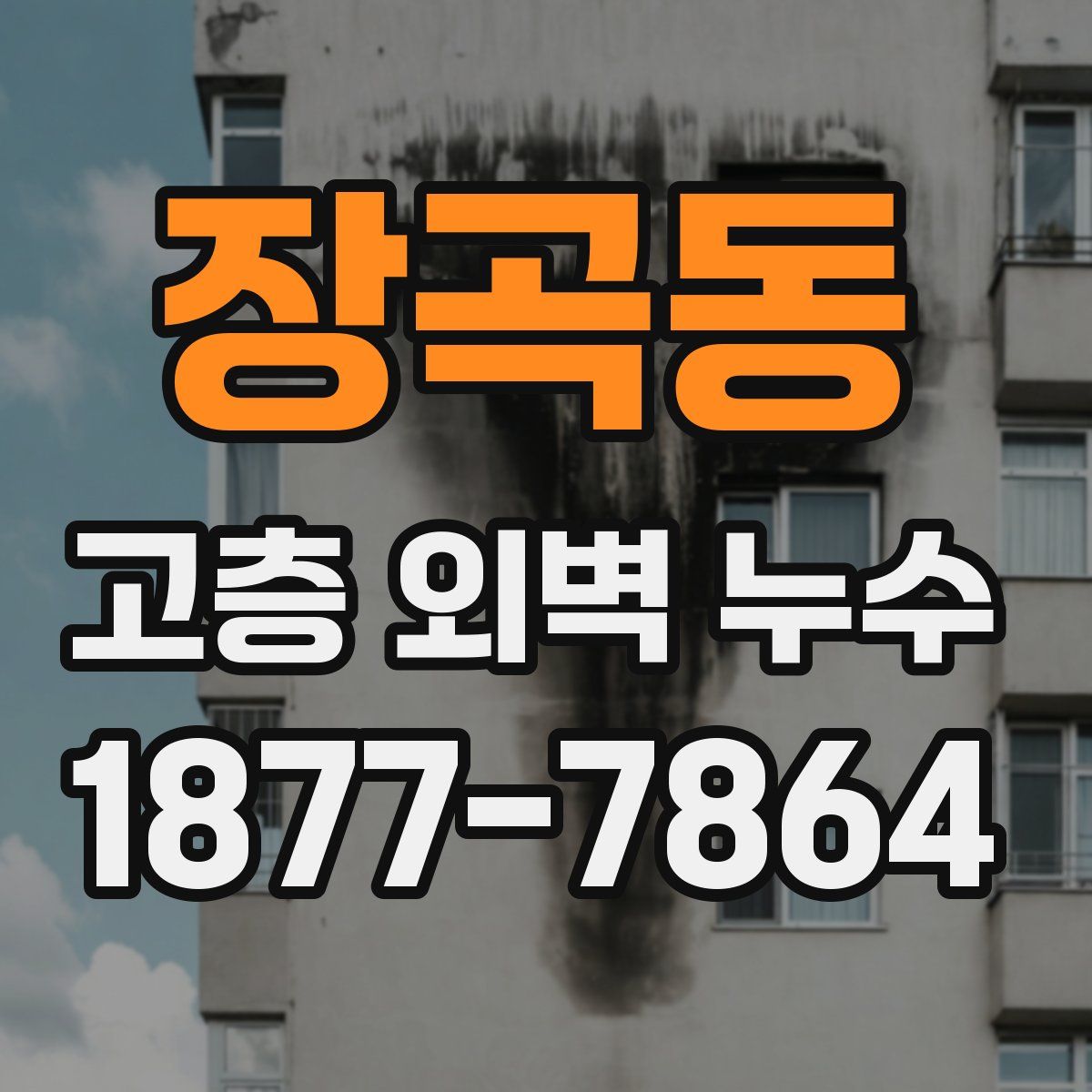 장곡동 고층 외벽 누수
