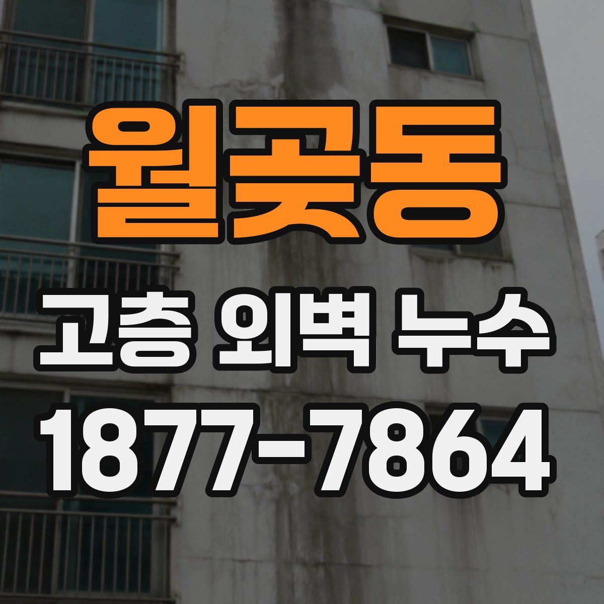 월곶동 고층 외벽 누수
