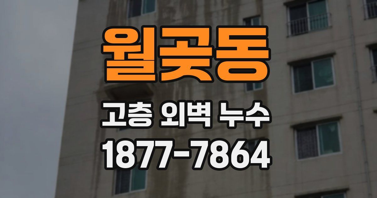 월곶동 고층 외벽 누수