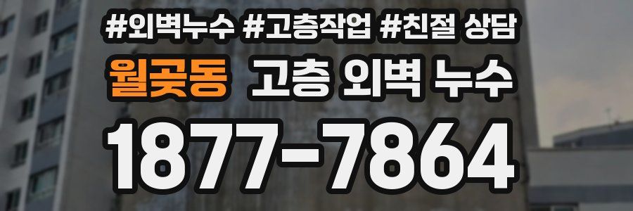 월곶동 고층 외벽 누수